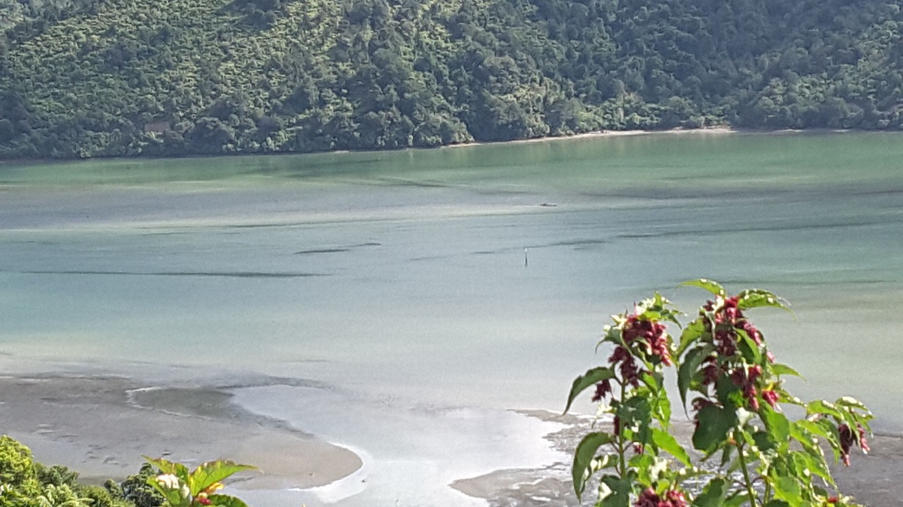 Photo of Others in Havelock