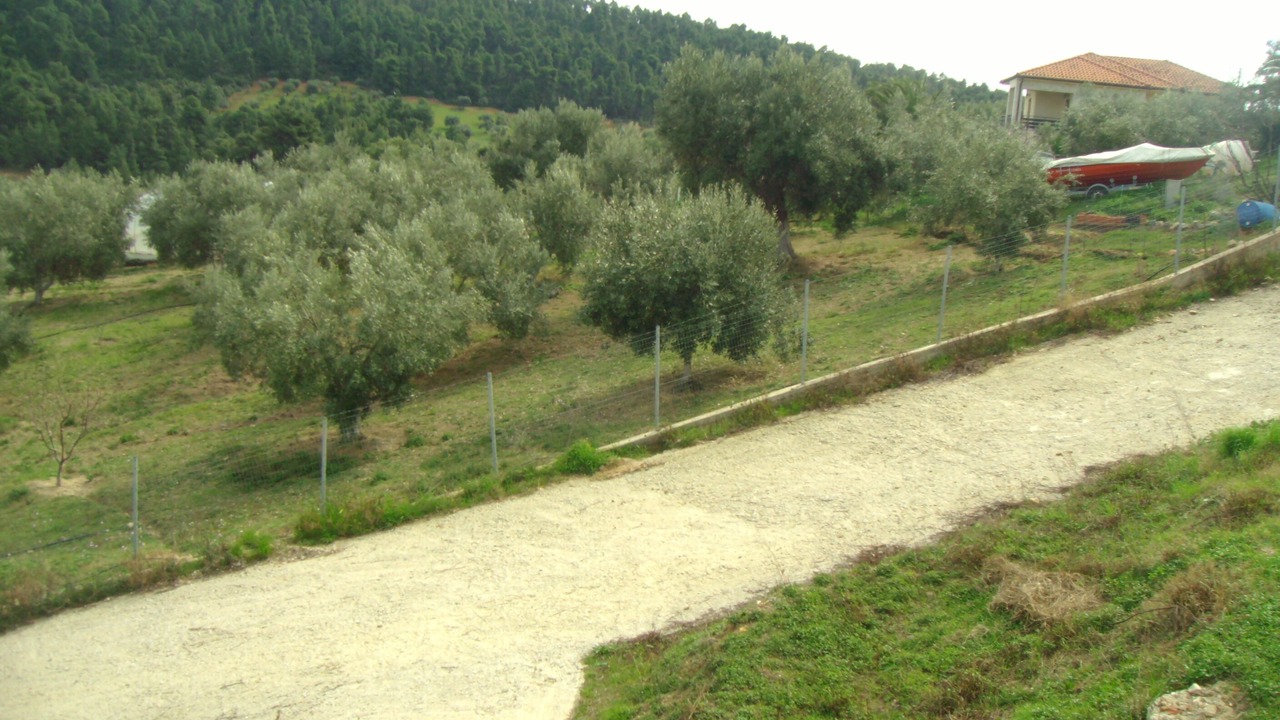 Photo of Others in Paliouri