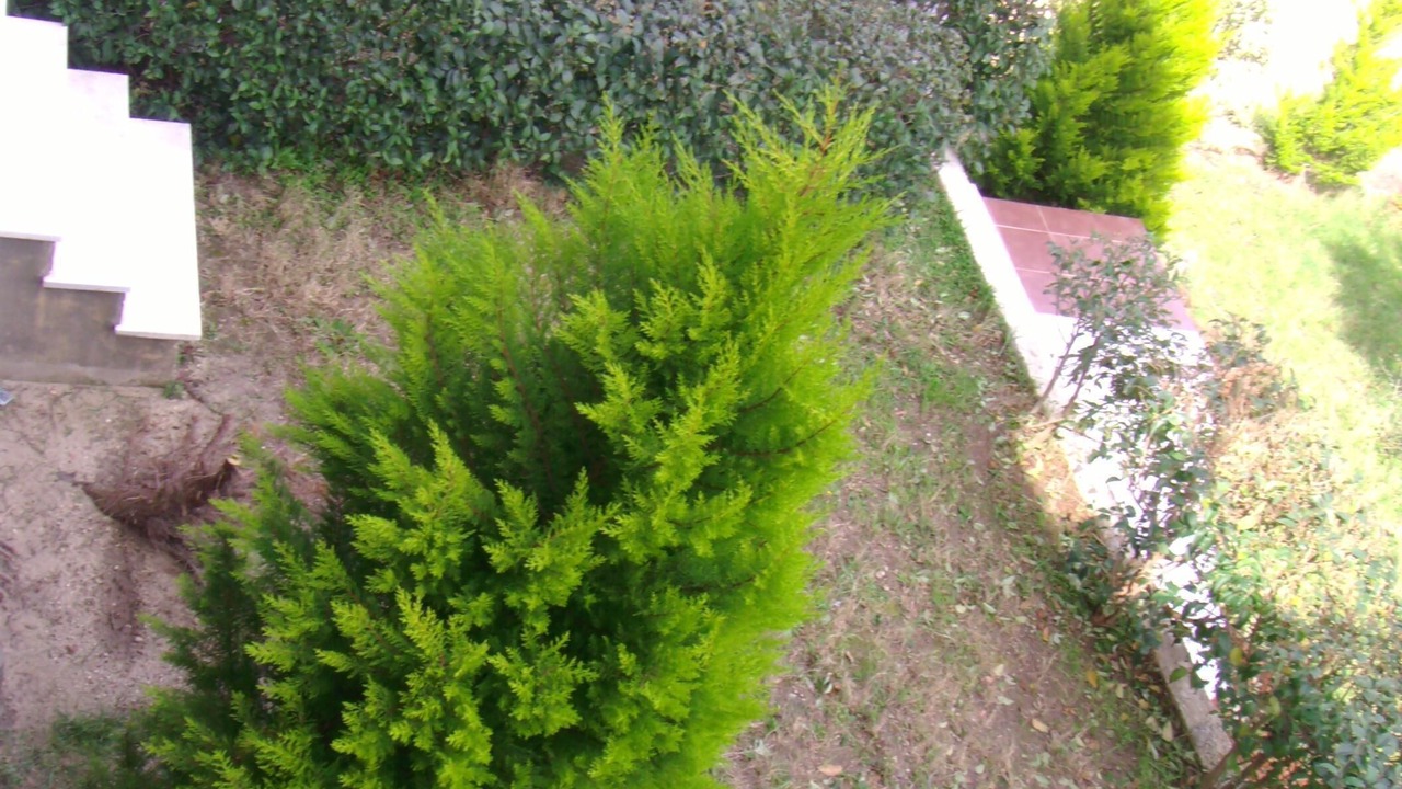 Photo of Others in Paliouri