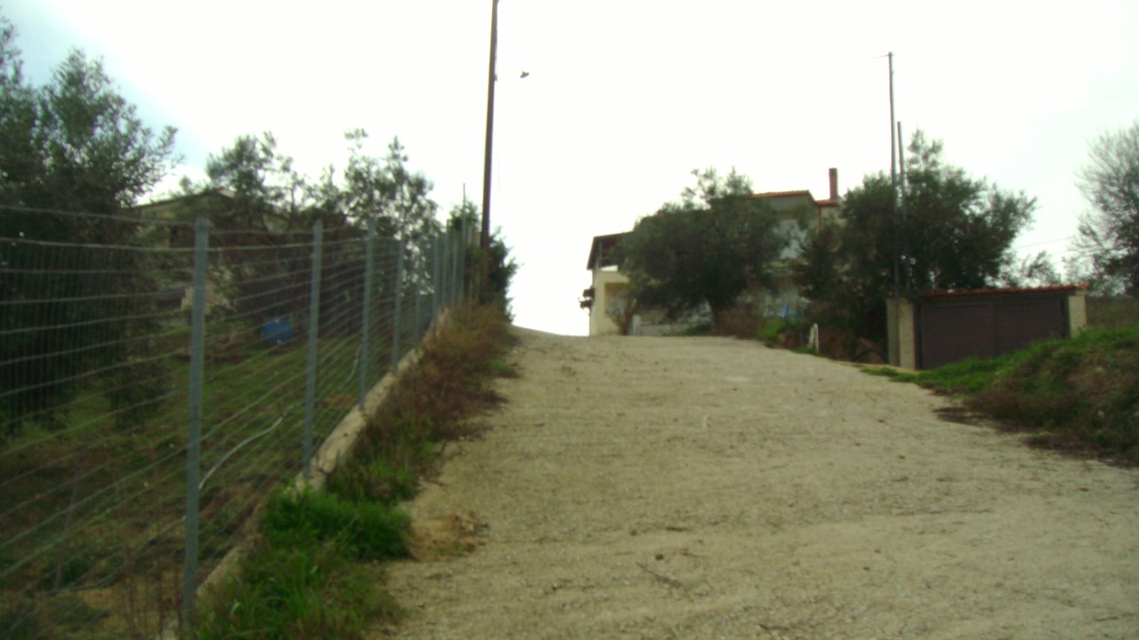 Photo of Others in Paliouri