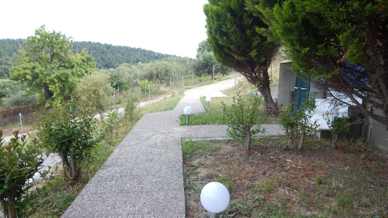 Photo of Outdoor in Paliouri