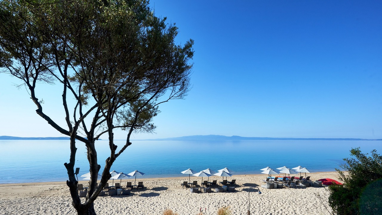 Photo of Others in Aristotelis