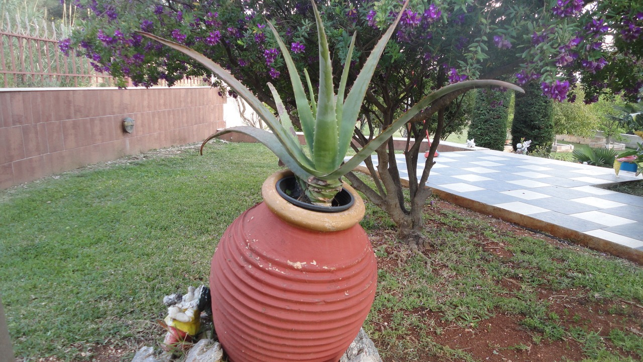 Photo of Outdoor in Sarlata