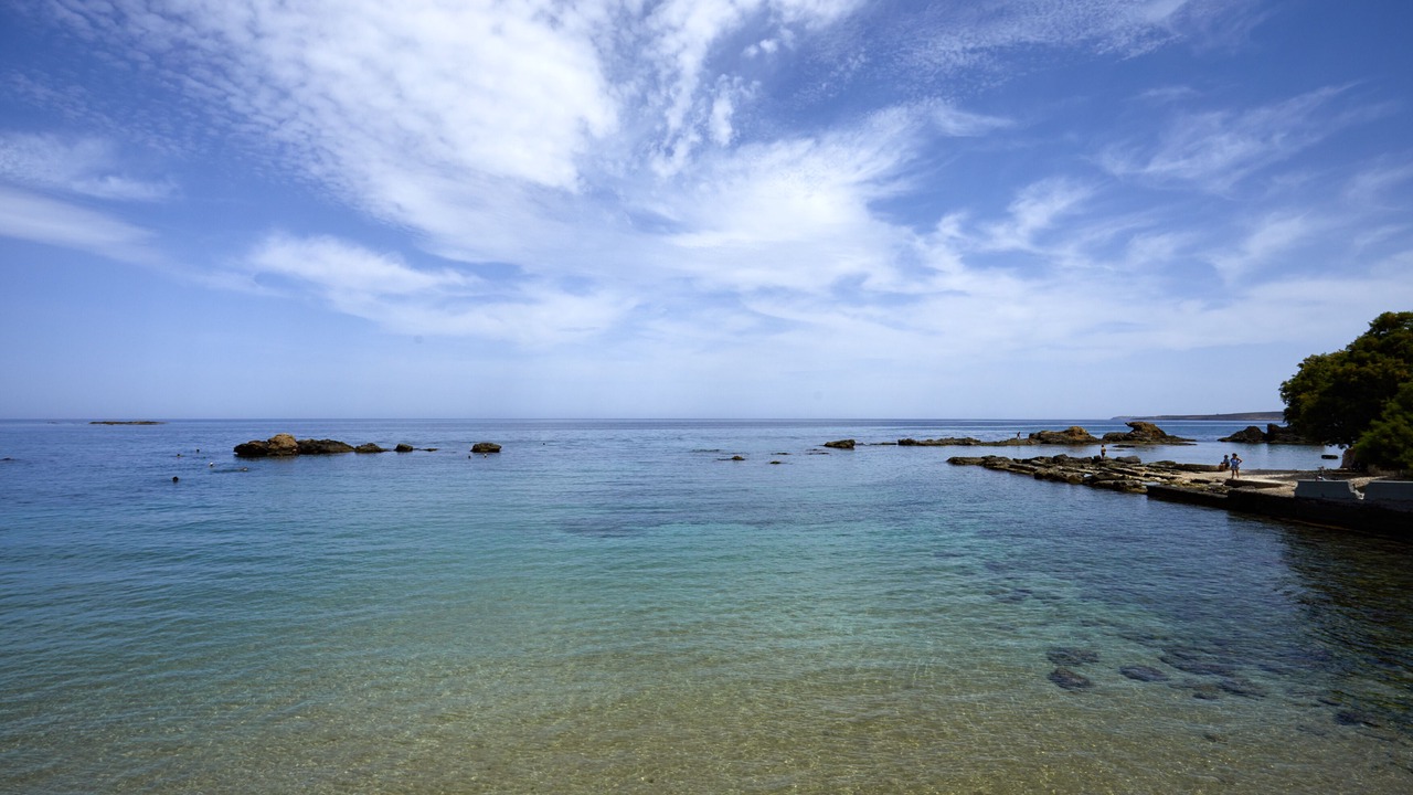 Photo of Others in Halepa