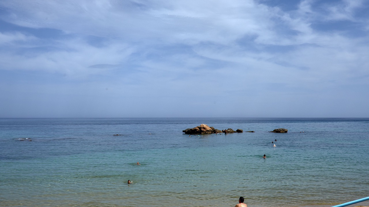 Photo of Others in Halepa