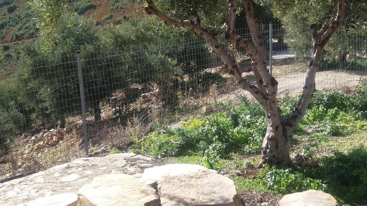 Photo of Outdoor in Skines