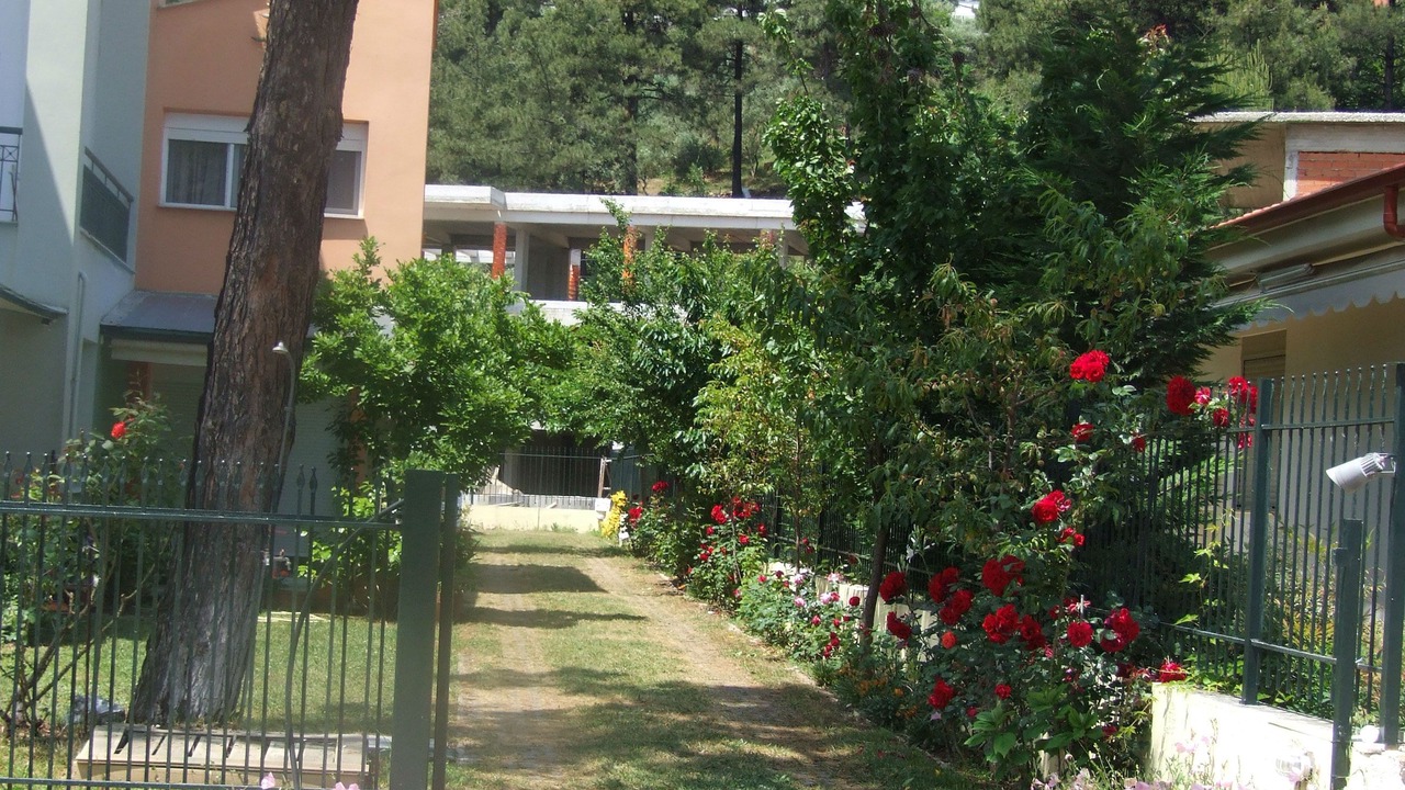 Photo of Outdoor in Chrisi Ammoudia
