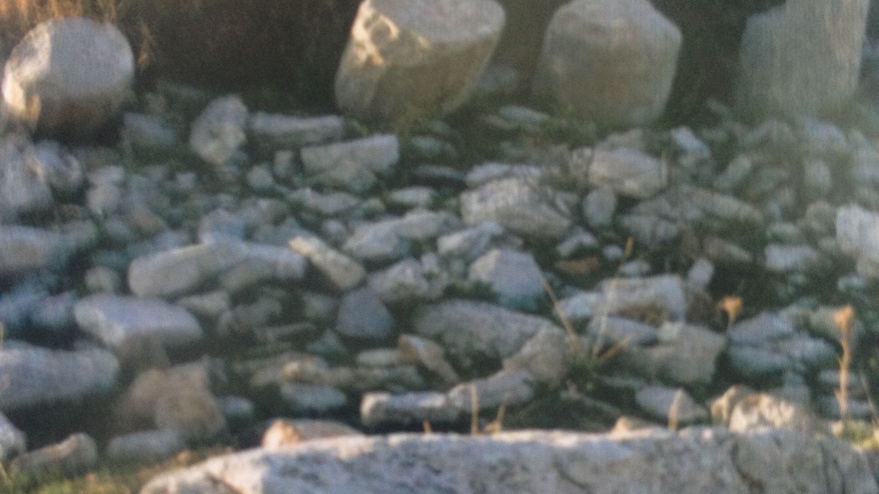 Photo of Others in Andritsaina