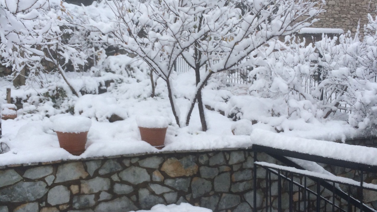 Photo of Outdoor in Andritsaina