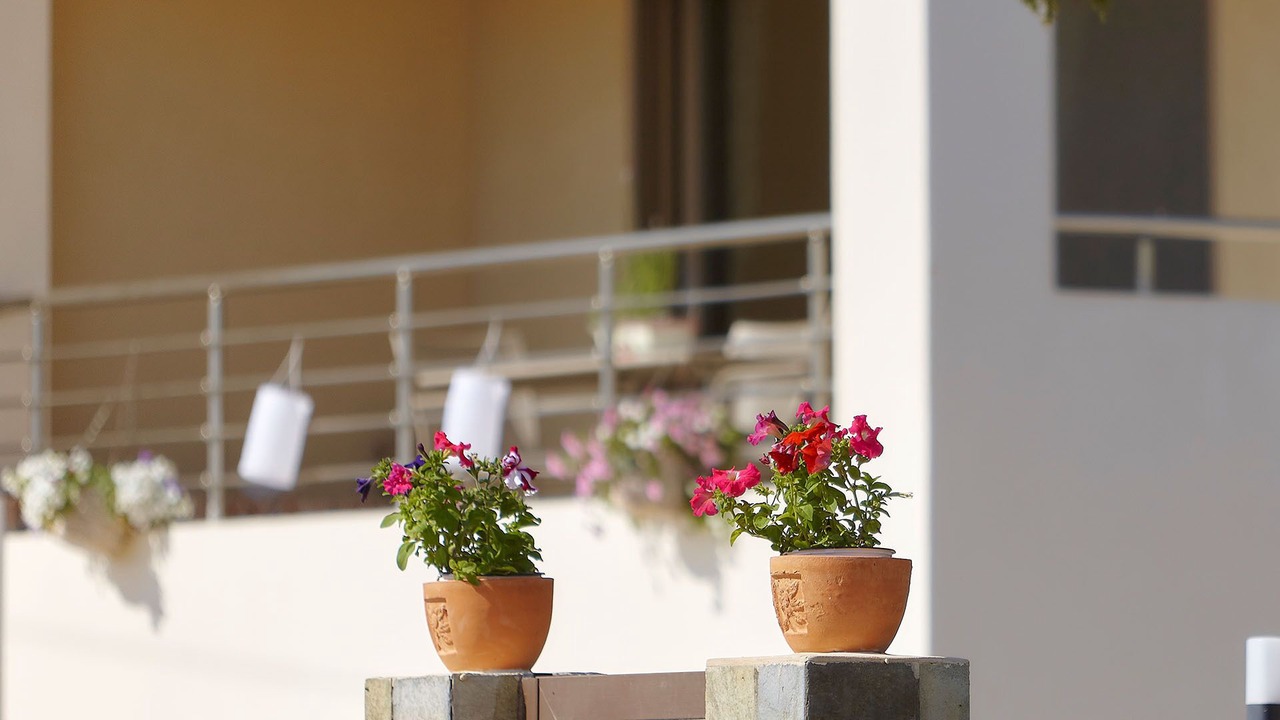 Photo of Outdoor in Gournai