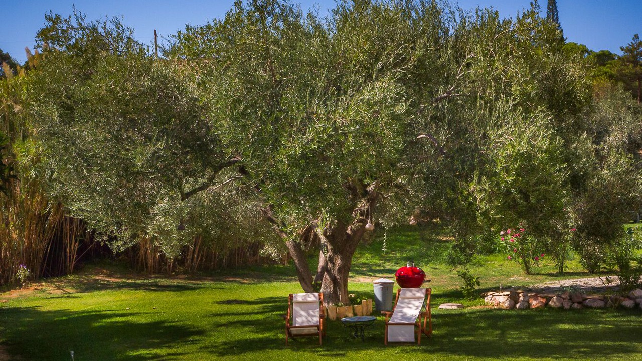 Photo of Outdoor in Karavados
