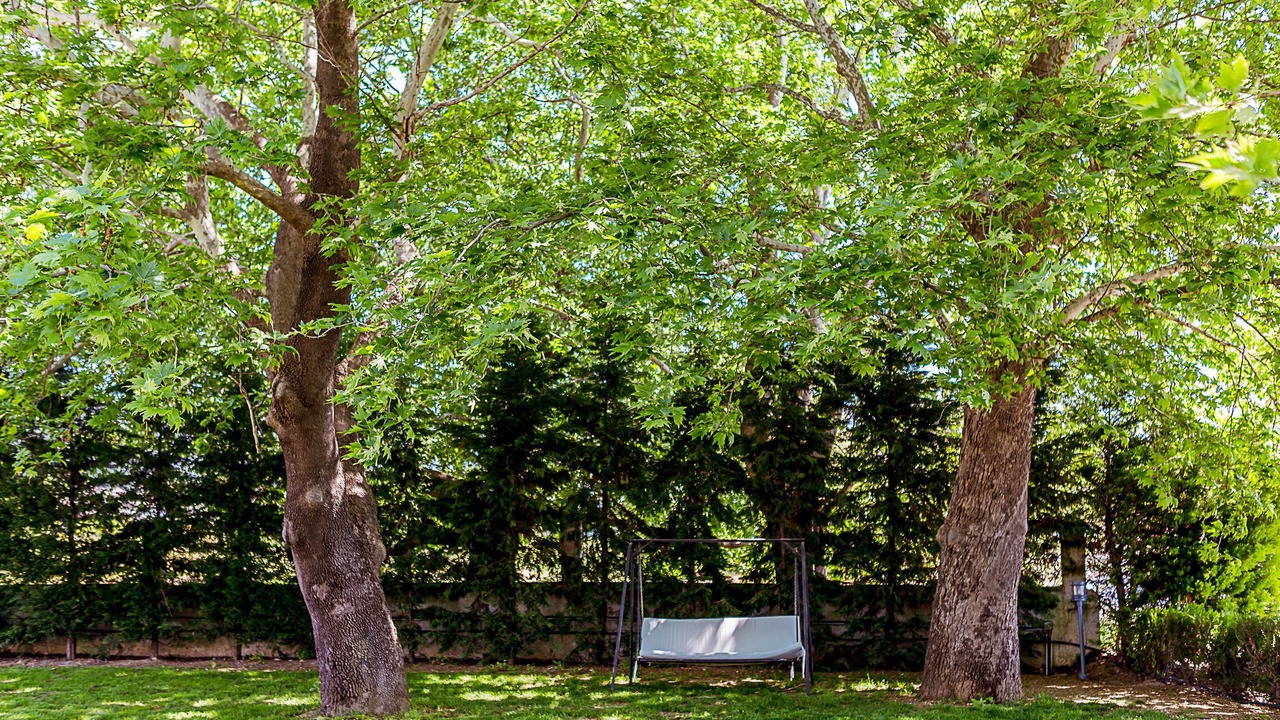 Photo of Outdoor in Koropi