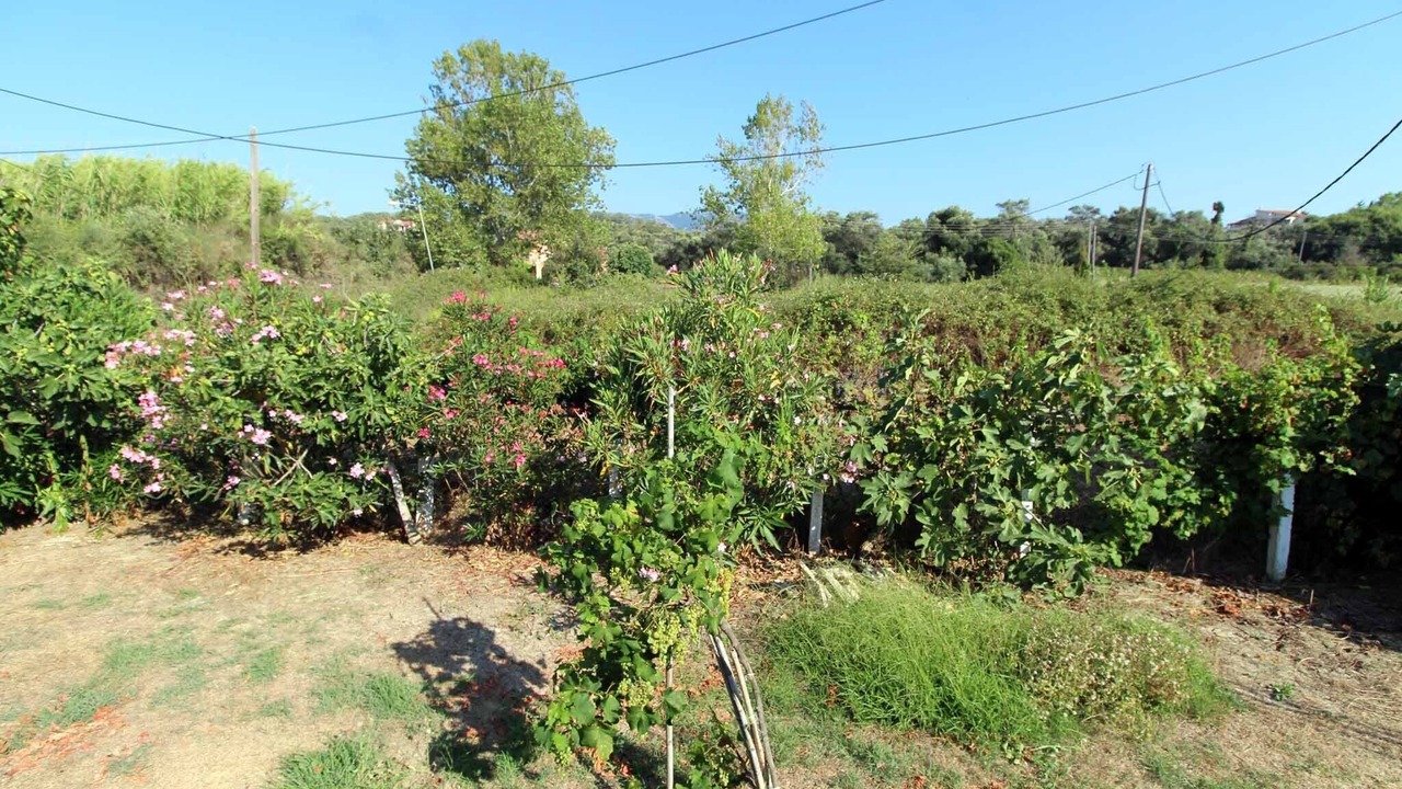 Photo of Outdoor in Roda