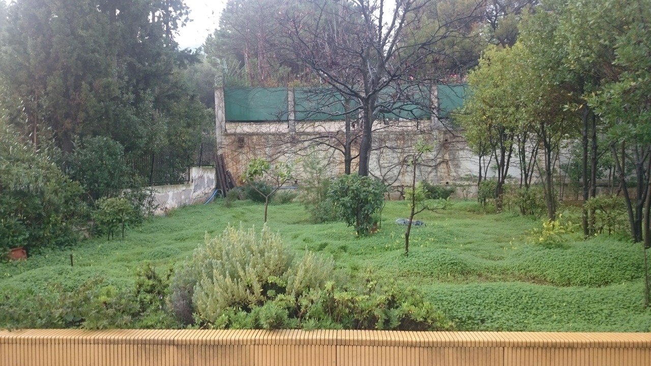 Photo of Outdoor in Markopoulo Mesogaias