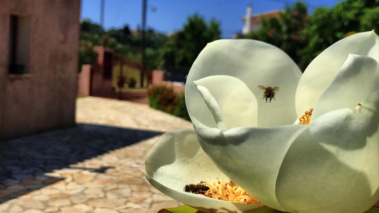 Photo of Outdoor in Menegata