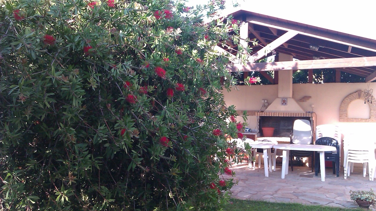 Photo of Patio Balcony in Mytikas