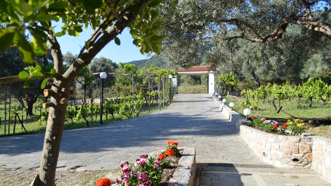 Photo of Outdoor in Nerotrivia