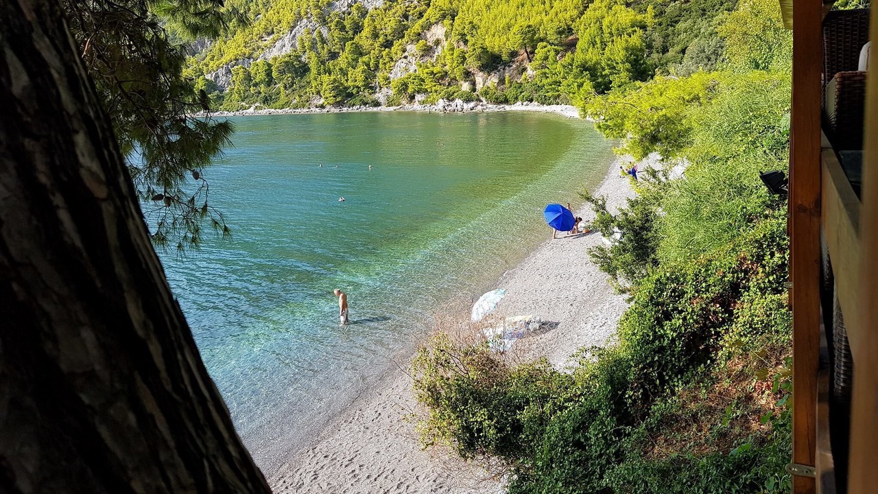 Photo of Others in Paradise Beach