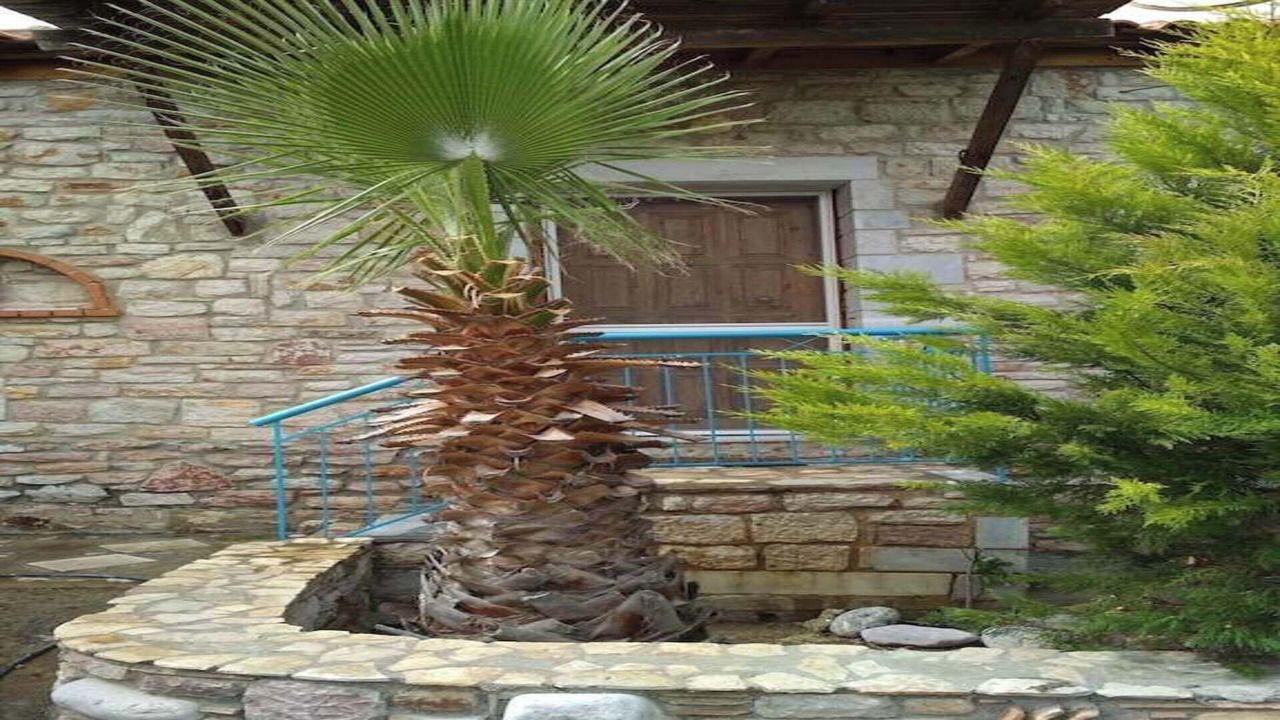 Photo of Outdoor in Falanthi