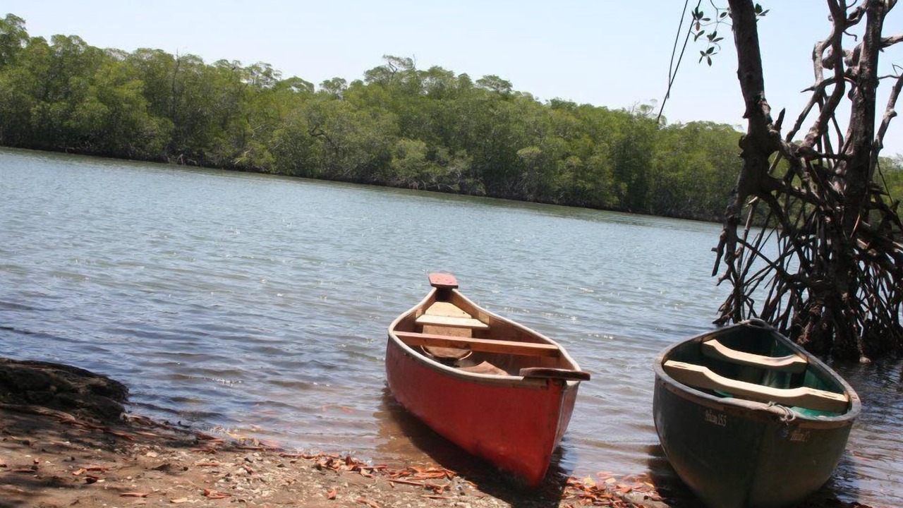 Photo of Others in Palm Beach Estates