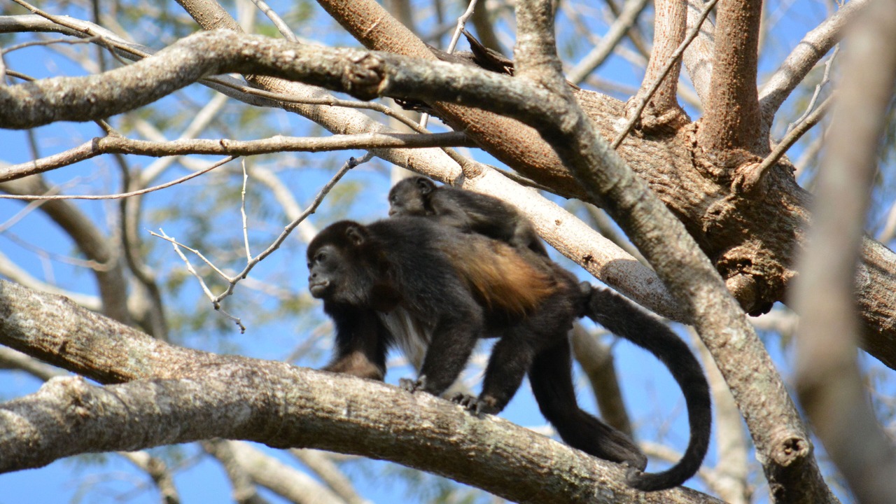 Photo of Others in Palm Beach Estates