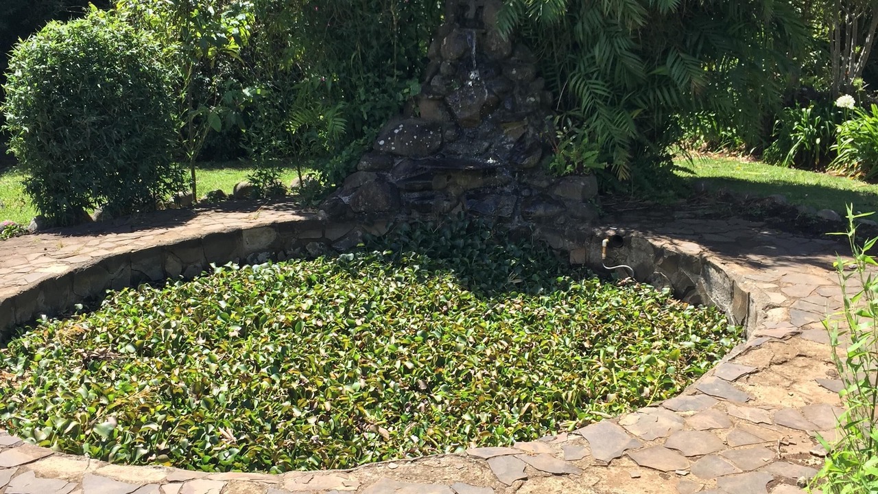 Photo of Outdoor in Tures