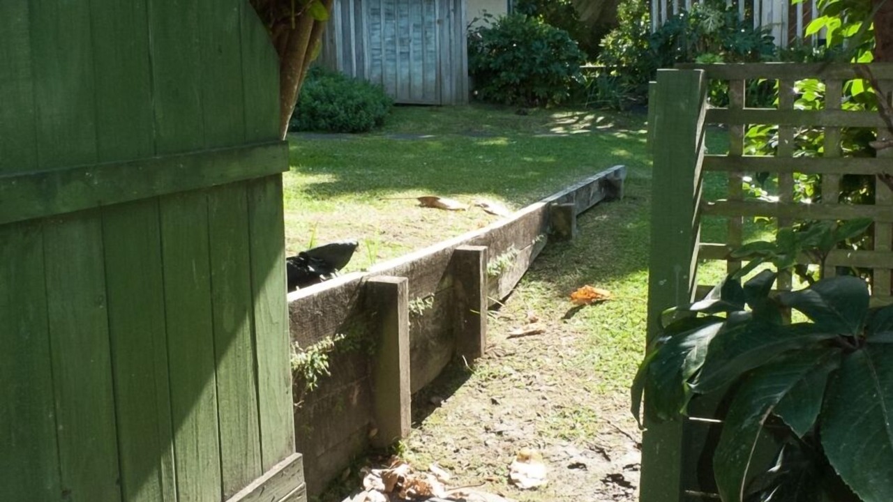 Photo of Outdoor in Castor Bay