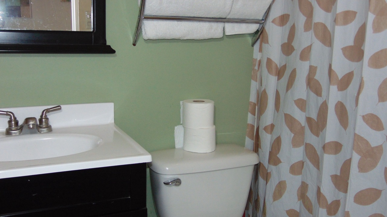 Photo of Bathroom in Pavas