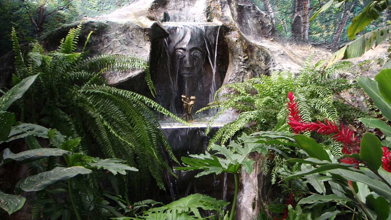 Photo of Outdoor in Pavas