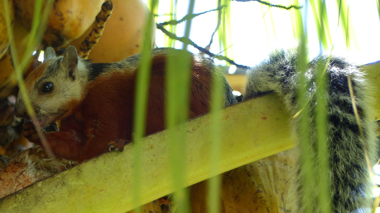 Photo of Others in Samara