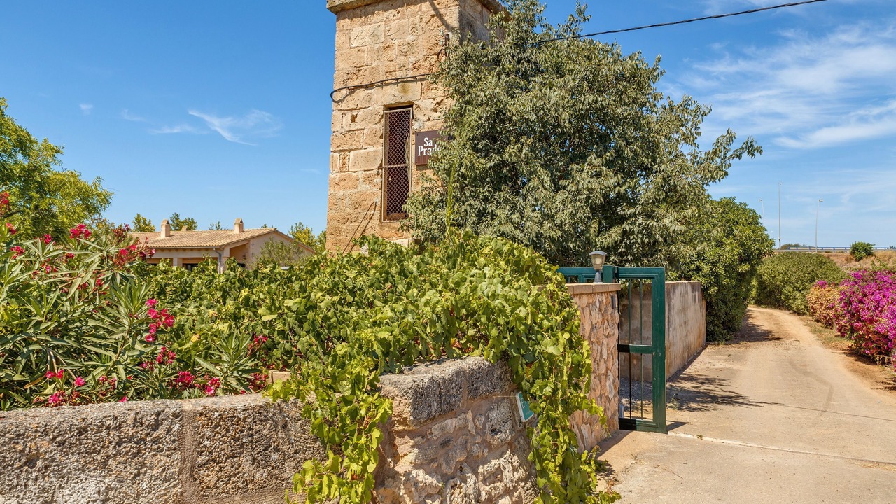 Photo of Outdoor in Es Figueral