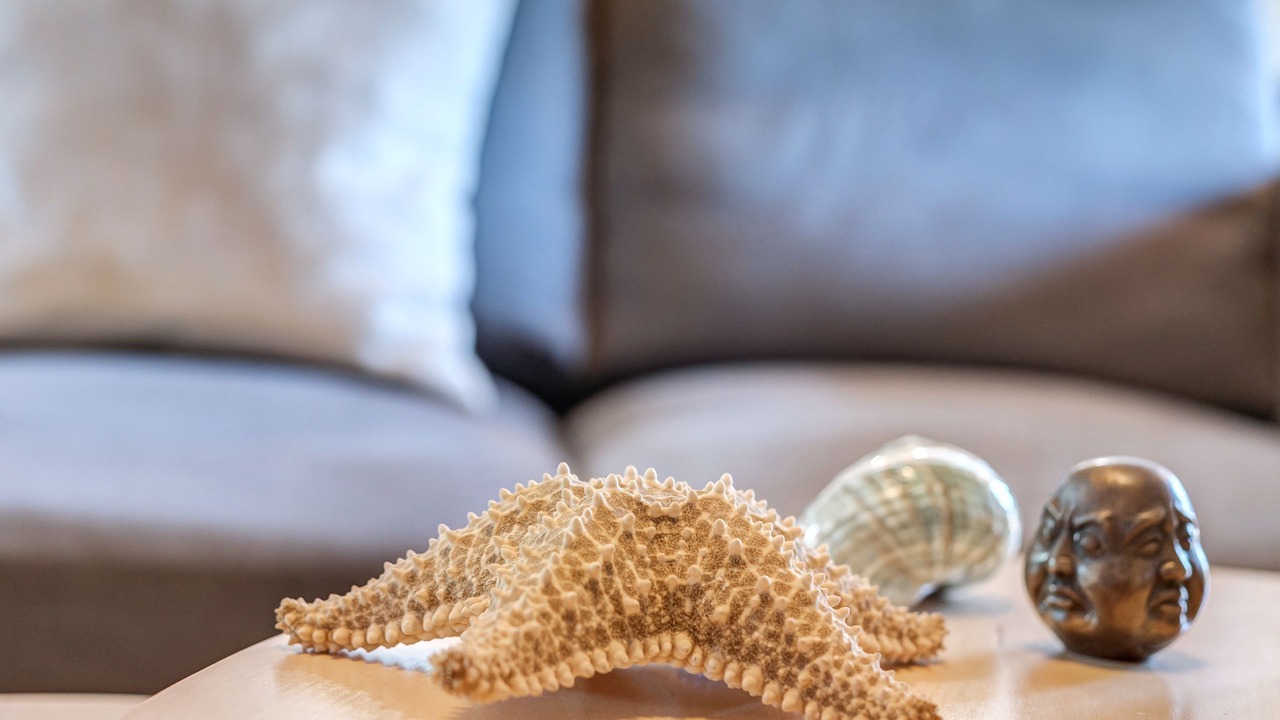 Photo of Others in Es Figueral