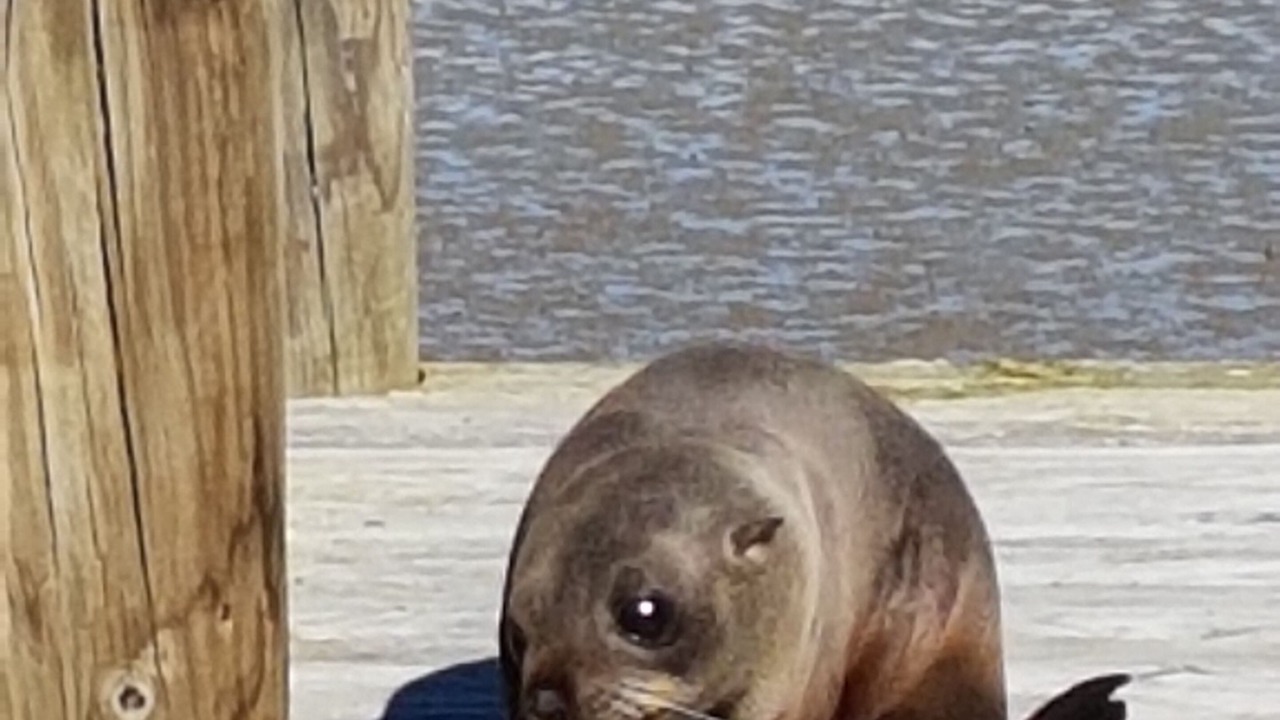 Photo of Others in Bronte