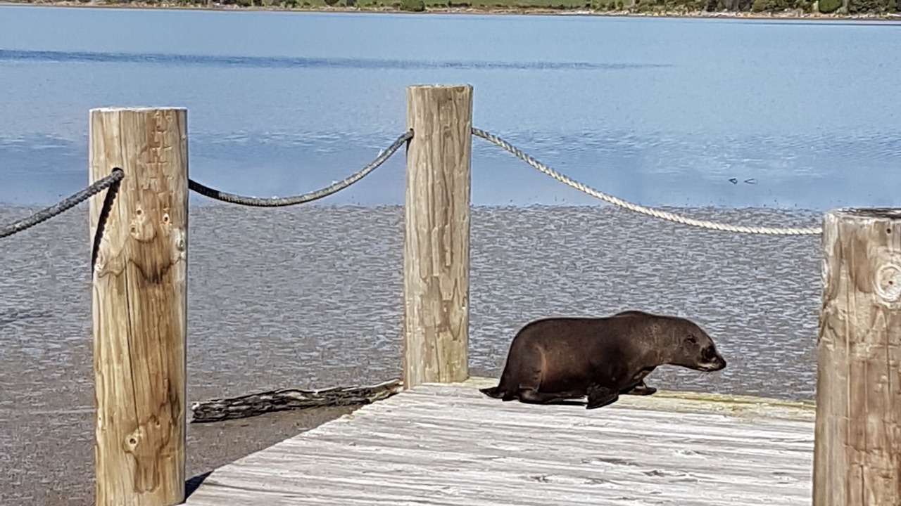 Photo of Others in Bronte