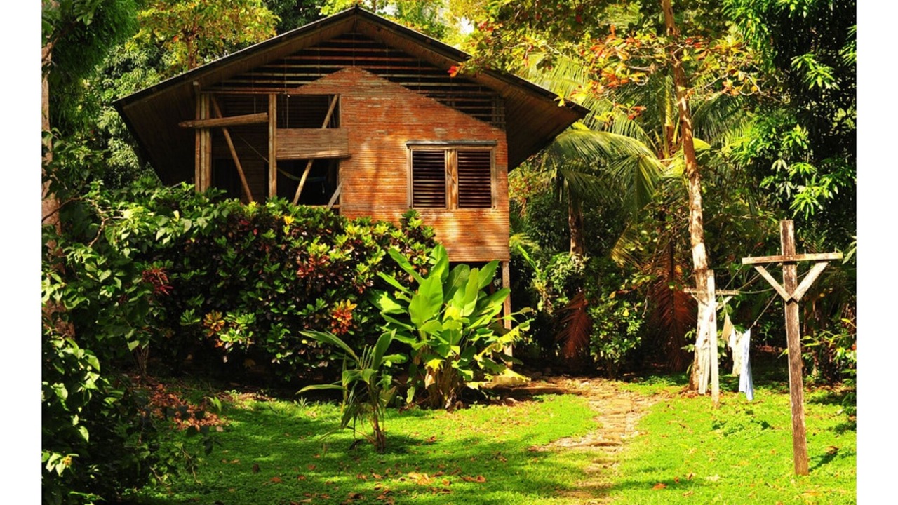 Photo of Outdoor in Cabo Matapalo