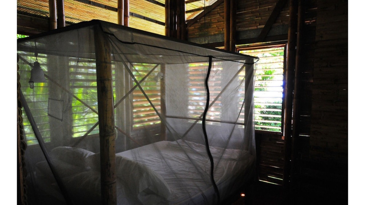 Photo of Bedroom in Cabo Matapalo