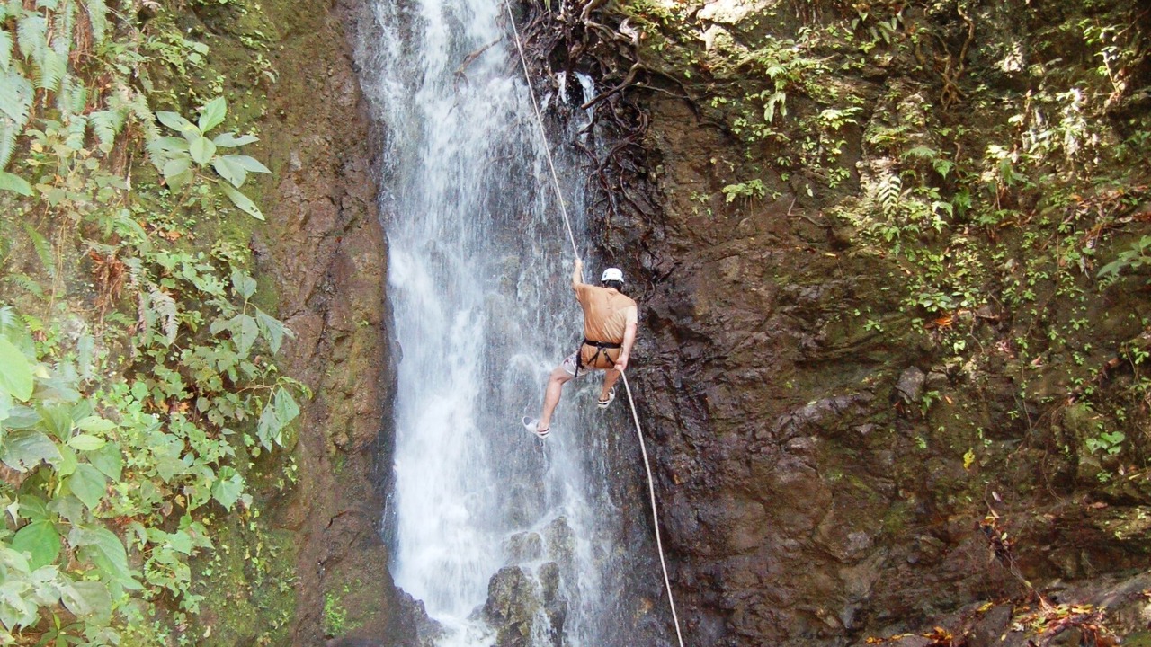 Photo of Others in Cabo Matapalo