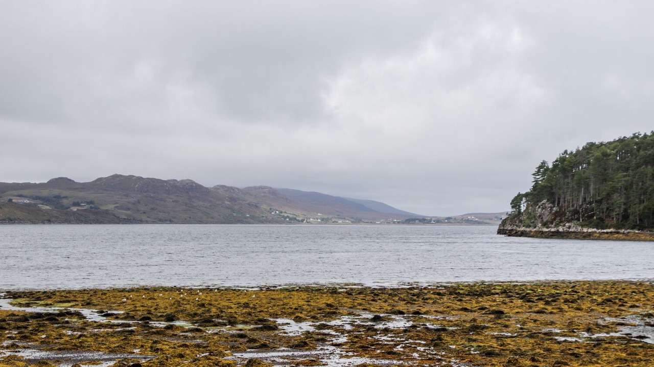 Photo of Others in Poolewe