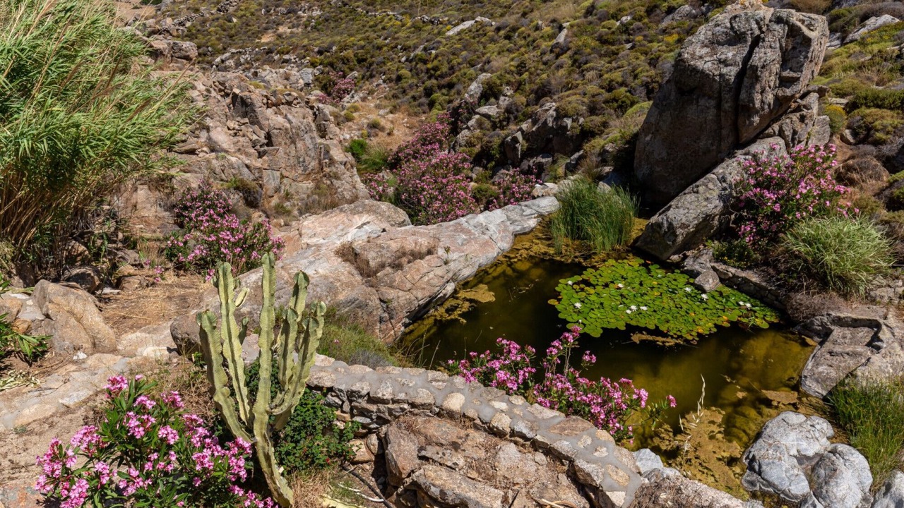 Photo of Outdoor in Paraga