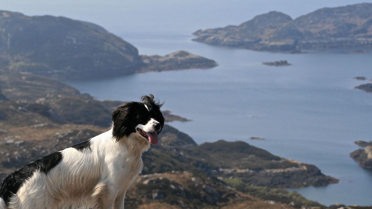 Photo of Others in Strathcarron