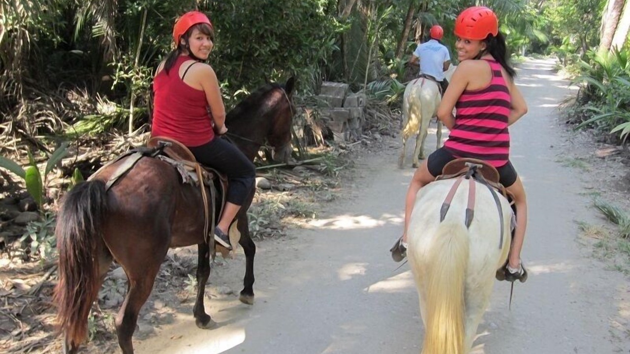 Photo of Others in Paquera