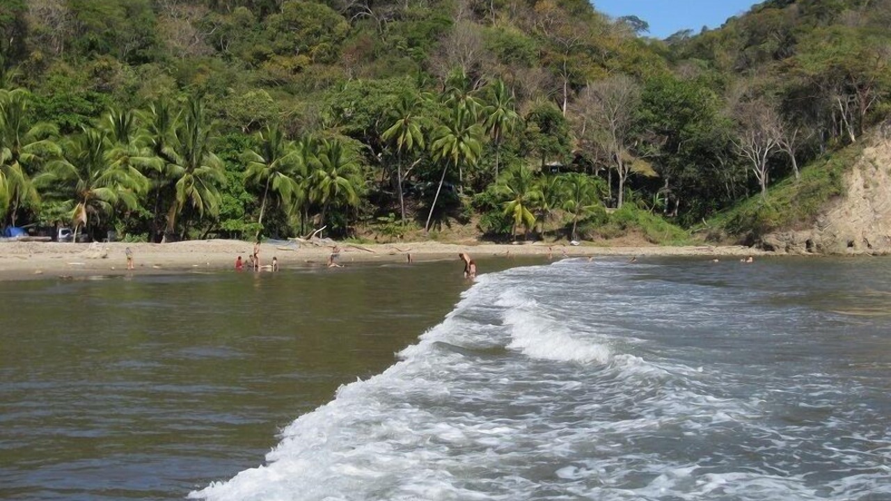 Photo of Others in Paquera