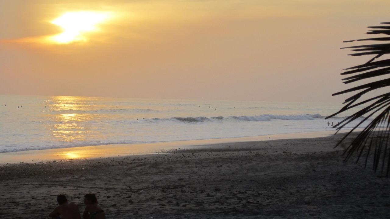 Photo of Others in Paquera