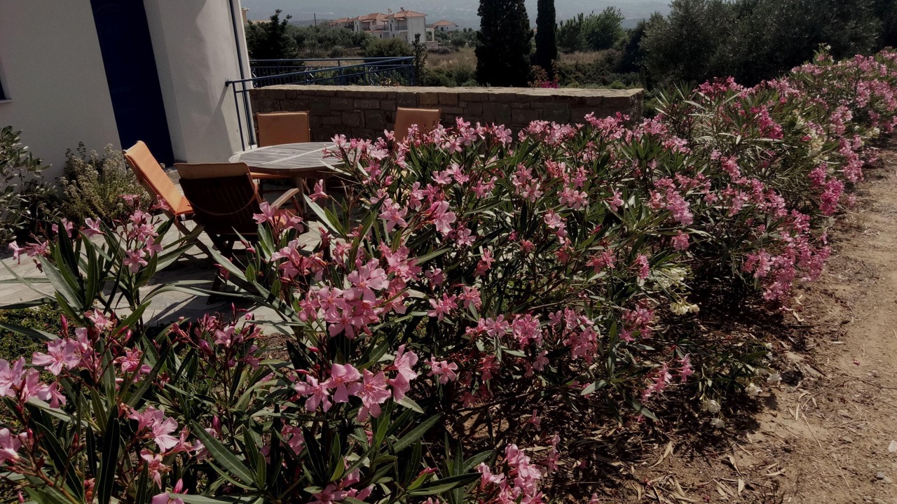 Photo of Outdoor in Pylos-Nestoras