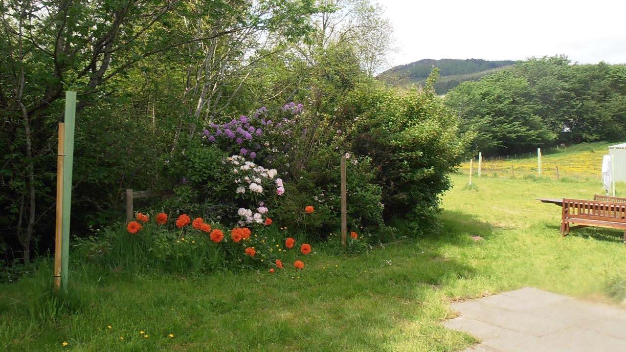 Photo of Outdoor in Aberfeldy
