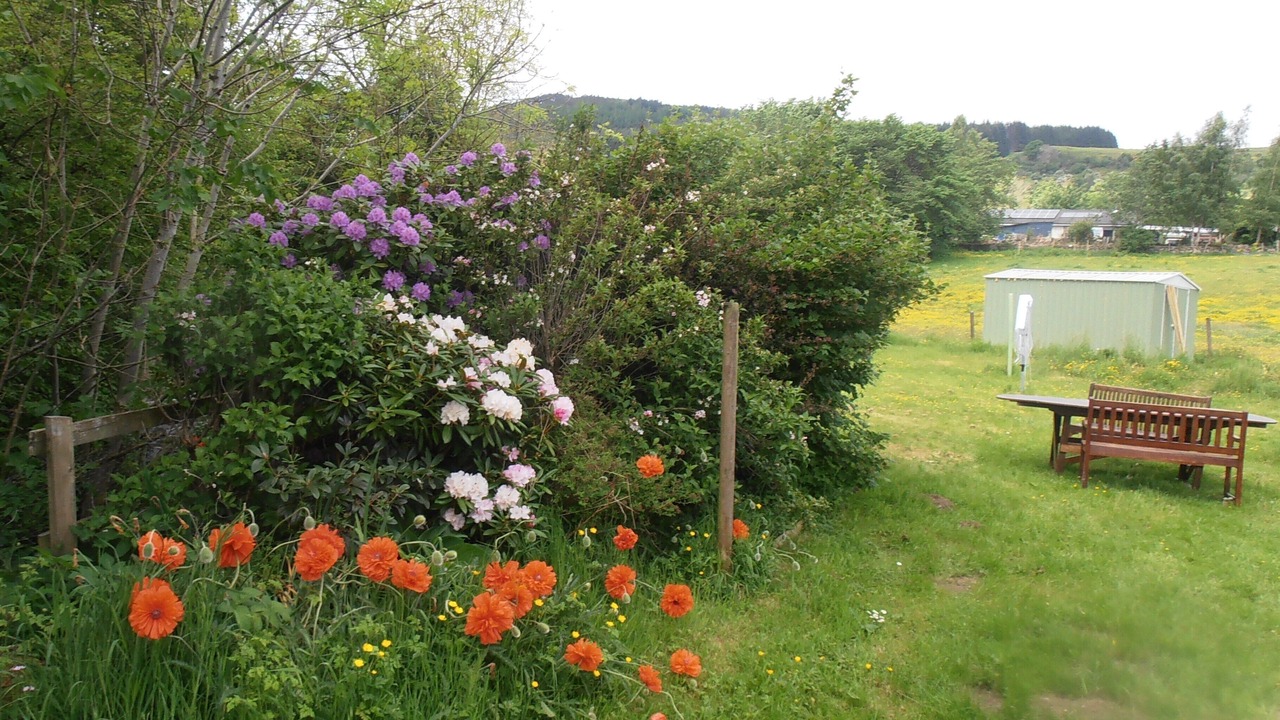 Photo of Outdoor in Aberfeldy