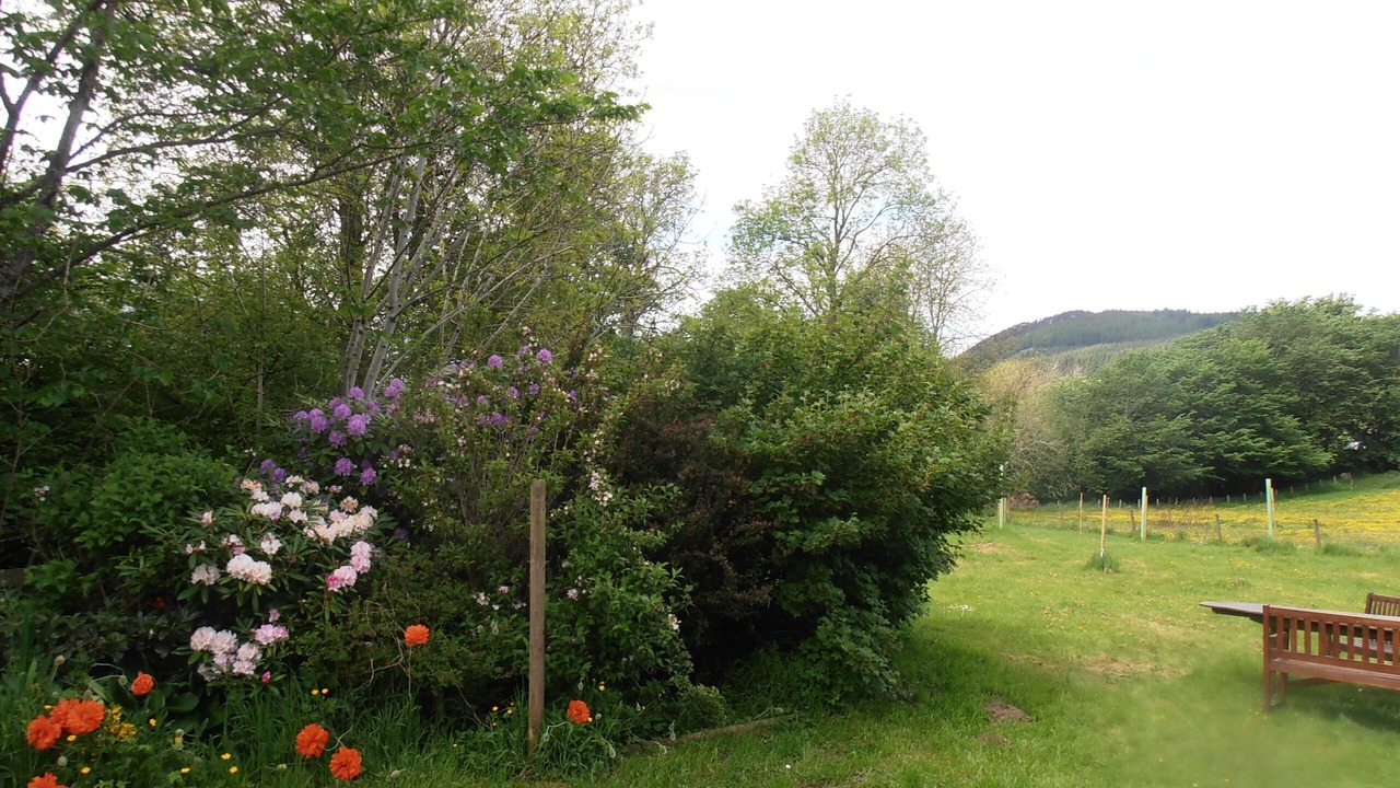Photo of Outdoor in Aberfeldy