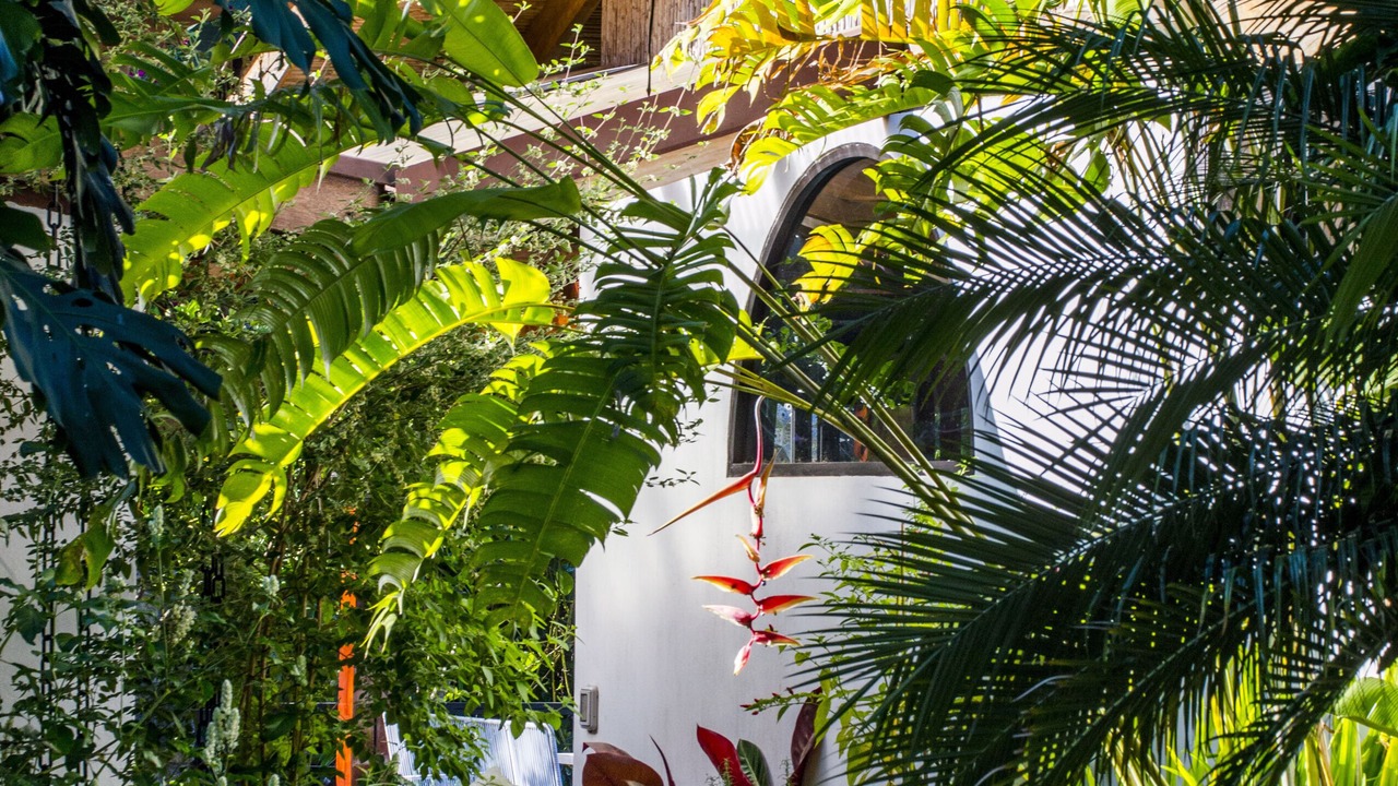 Photo of Outdoor in Pan de Azucar