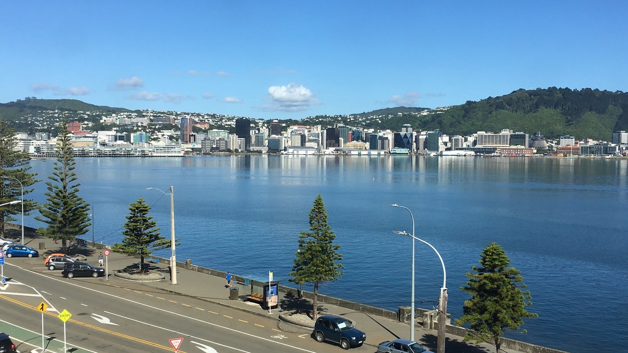 Photo of Others in Oriental Bay