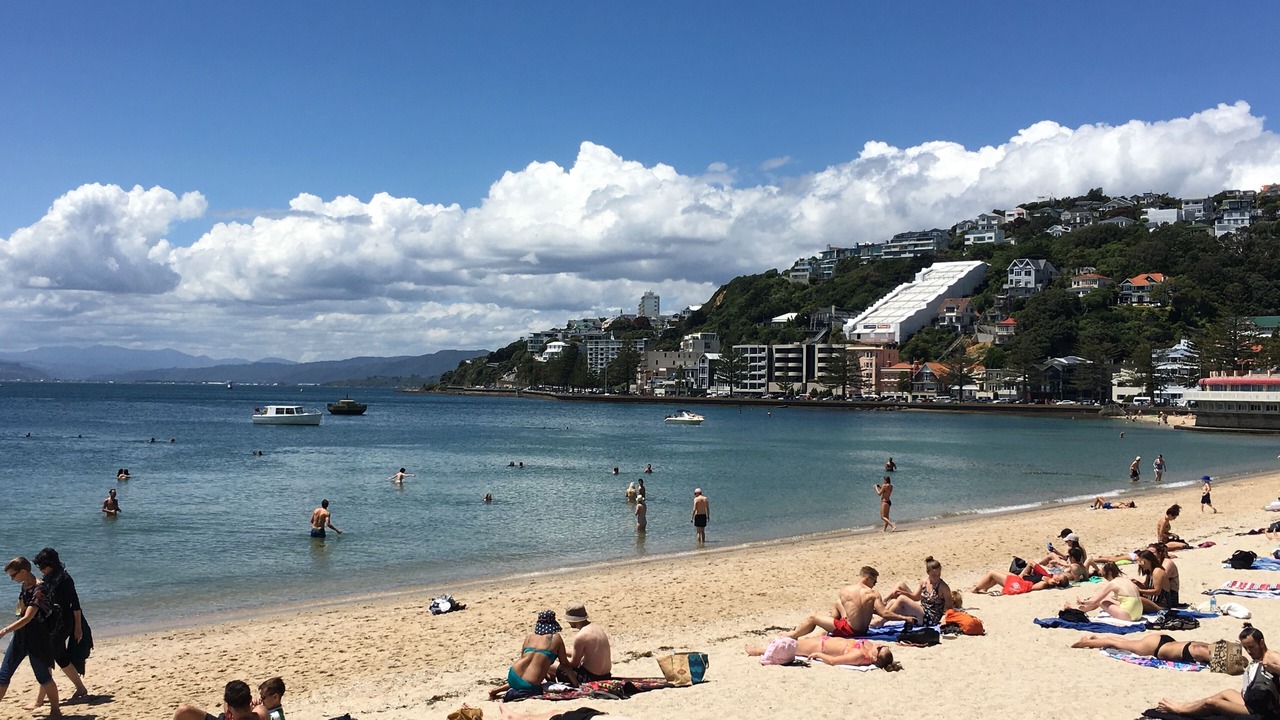 Photo of Others in Oriental Bay